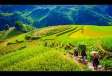 VIETNAM GRAND TOUR 21 DAYS 20 NIGHTS from 820 USD/person only